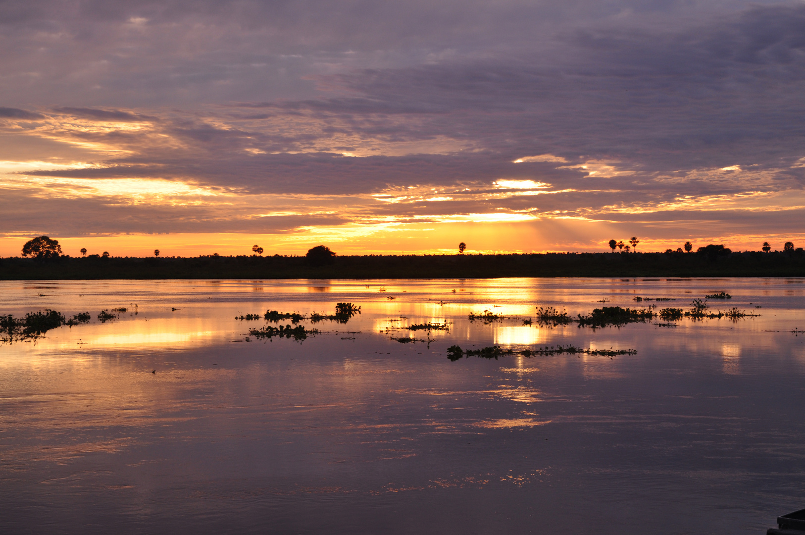 alba sul Rio Negro...