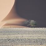 Alba sulle Dune del Namib - Sunrise on Namib's Dunes