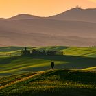 Alba sulle terre di Pienza