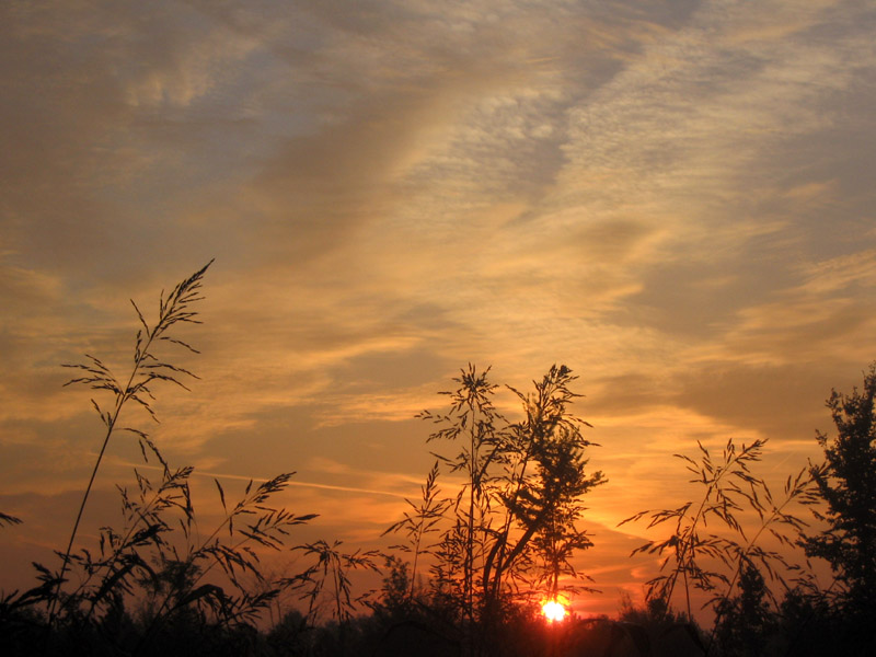 alba tranquilla