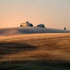 Alba ( Val d'Orcia)