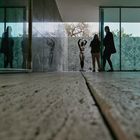  ALBA y la visita (Museo  Mies van der Rohe )