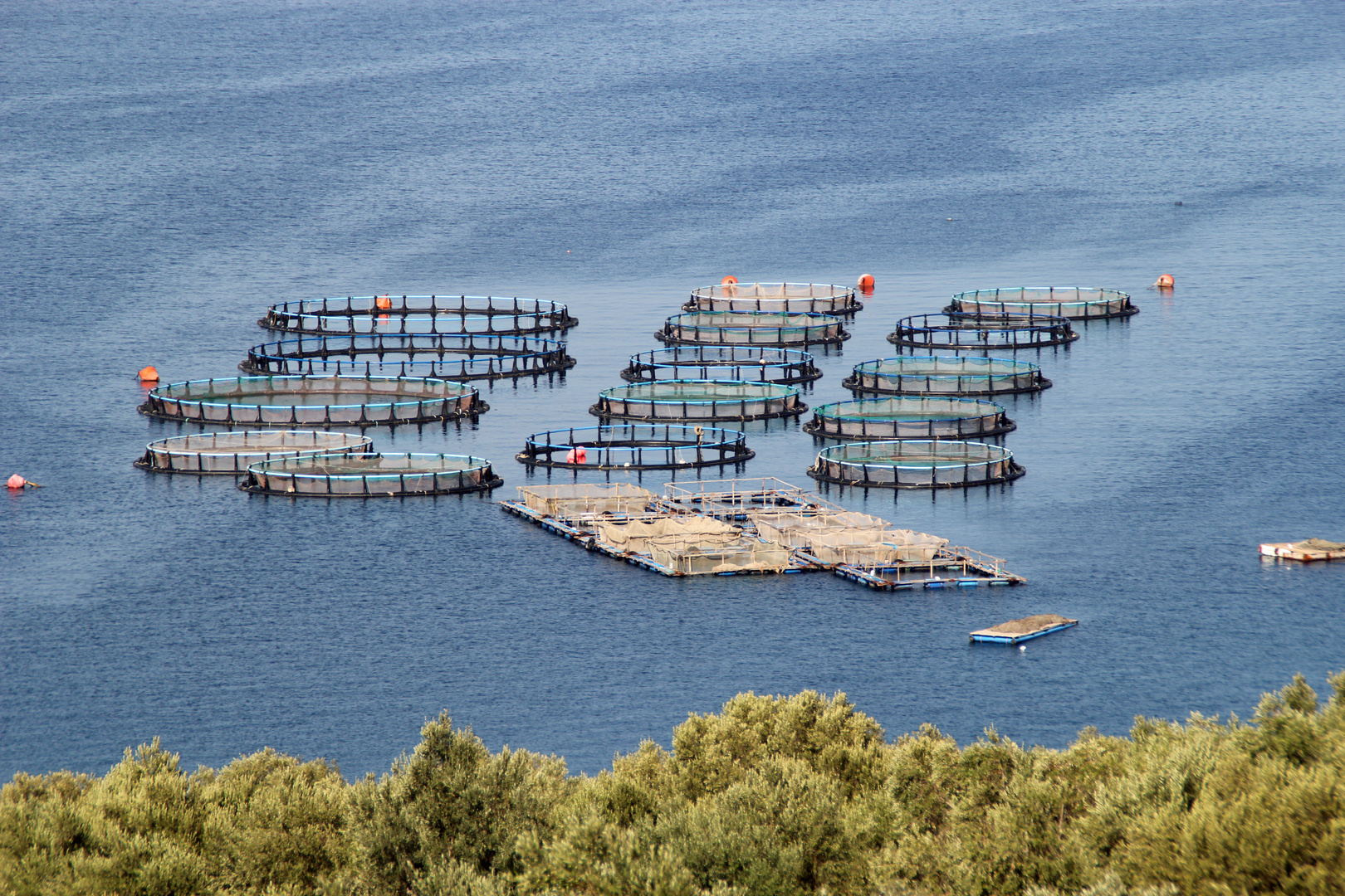 Albanien: Anlagen zur Muschelzucht im Ionischen Meer