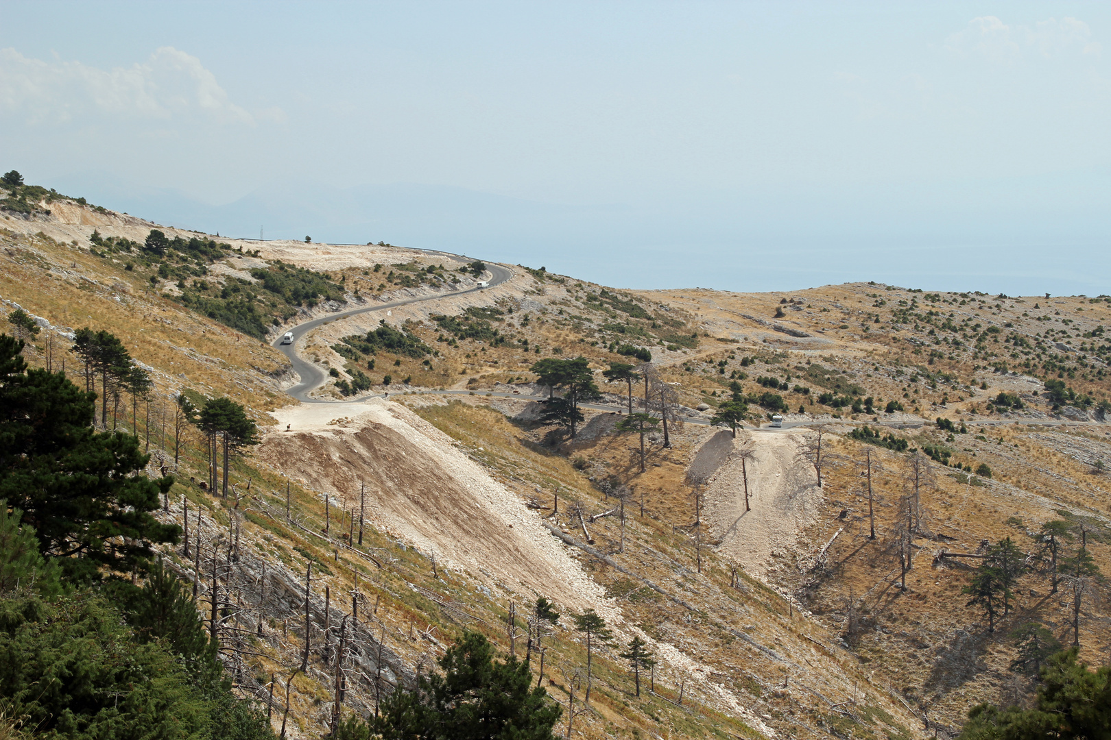 Albanien: Auf dem Llogarapass (1020m)