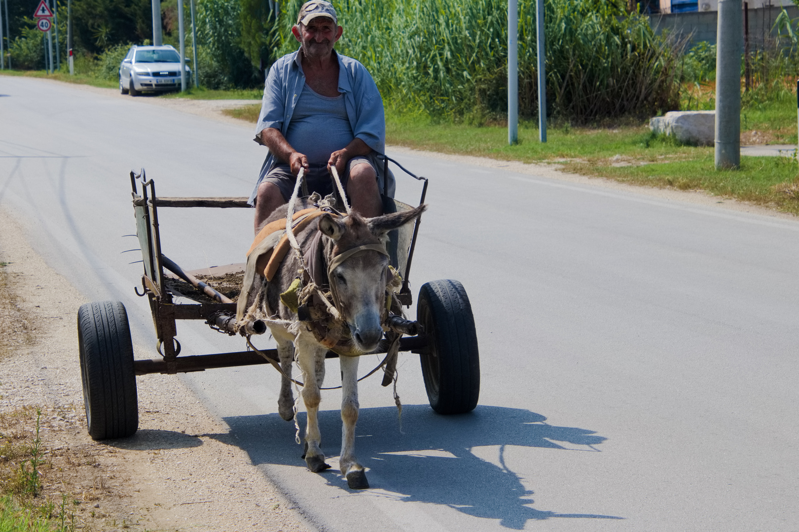 Albanien ein Einheimischer