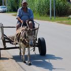 Albanien ein Einheimischer