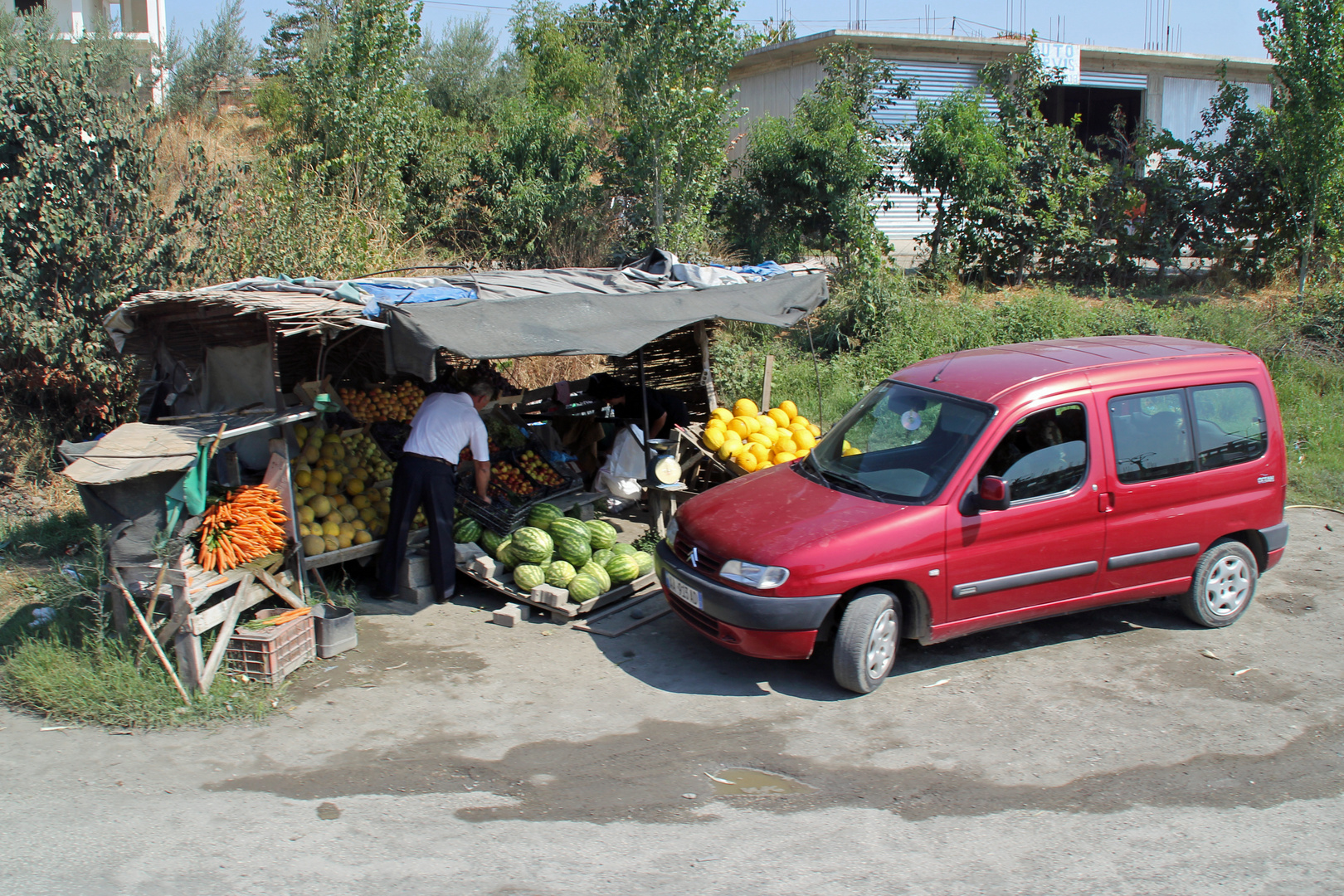 Albanien: Feldfrische Ware