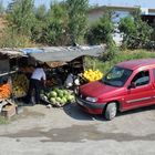 Albanien: Feldfrische Ware