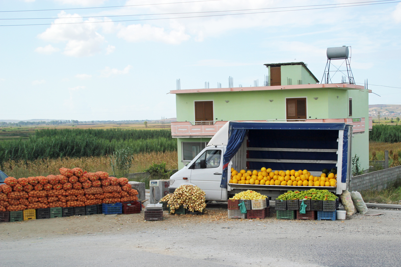 Albanien: Frisch vom Feld