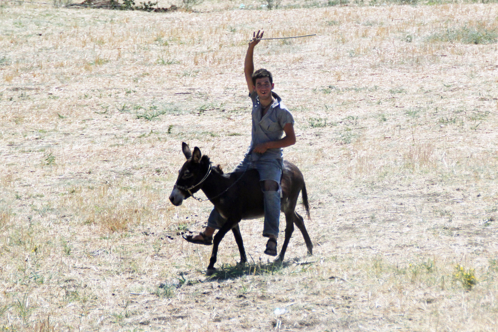 Albanien: Hallo, Fotograf!!!!