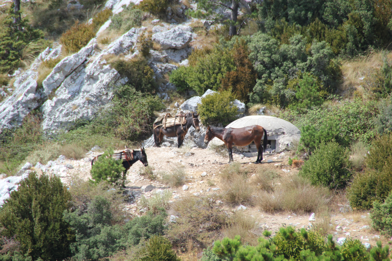 Albanien: Im Gebirge