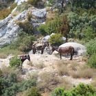 Albanien: Im Gebirge
