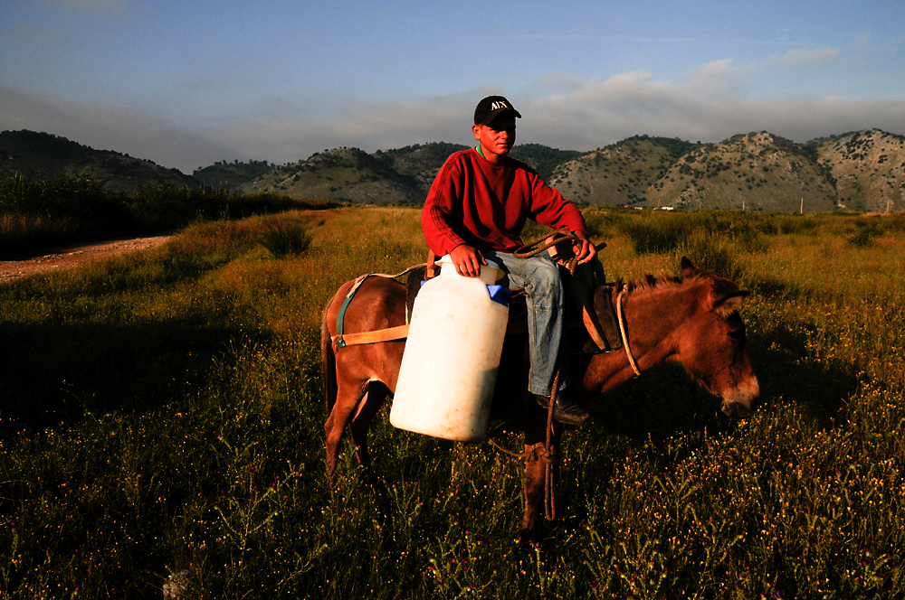 Albanien - Milchtransport