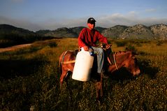 Albanien - Milchtransport