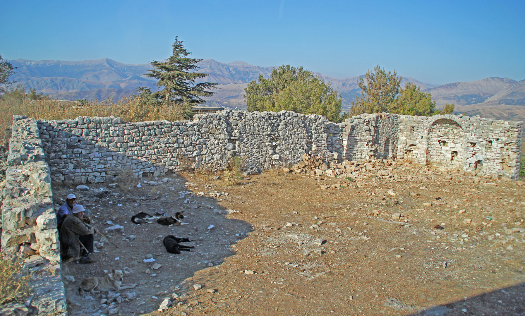 Albanien: Mittagsruhe für Mensch und Tier im Schatten auf dem Gelände der Lekuresifestung