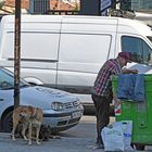 Albanien , Tirana