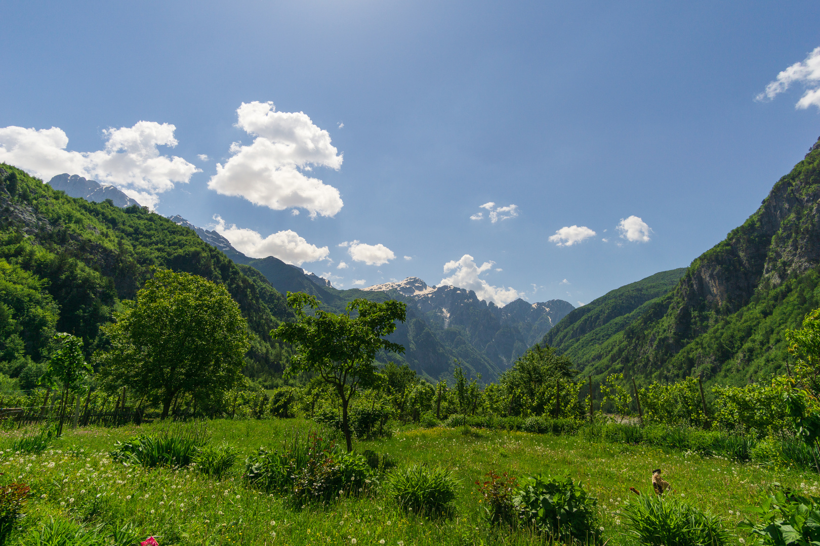 Albanische Alpen