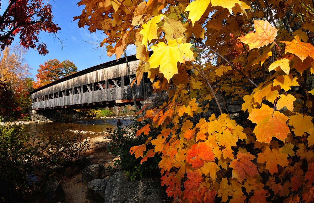 Albany Covered Bridge