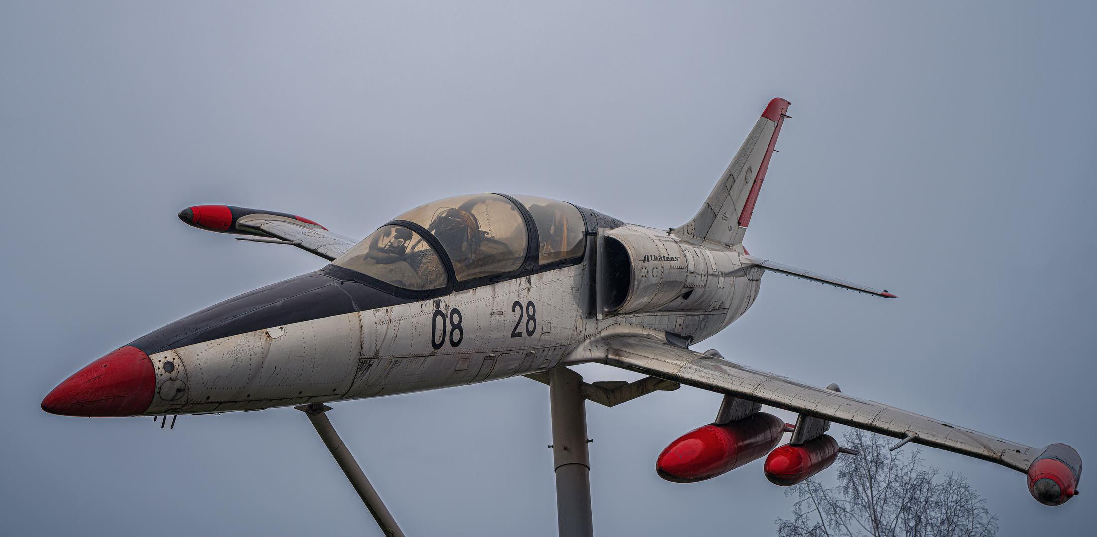 Albatros 08 28 (Technikmuseum Speyer)