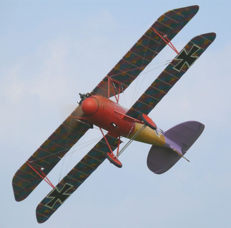 Albatros