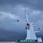 ALBATROS