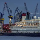 Albatros im Dock