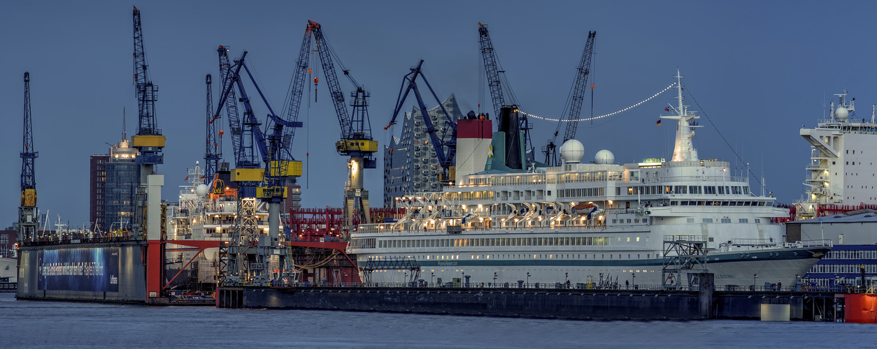 Albatros im Dock