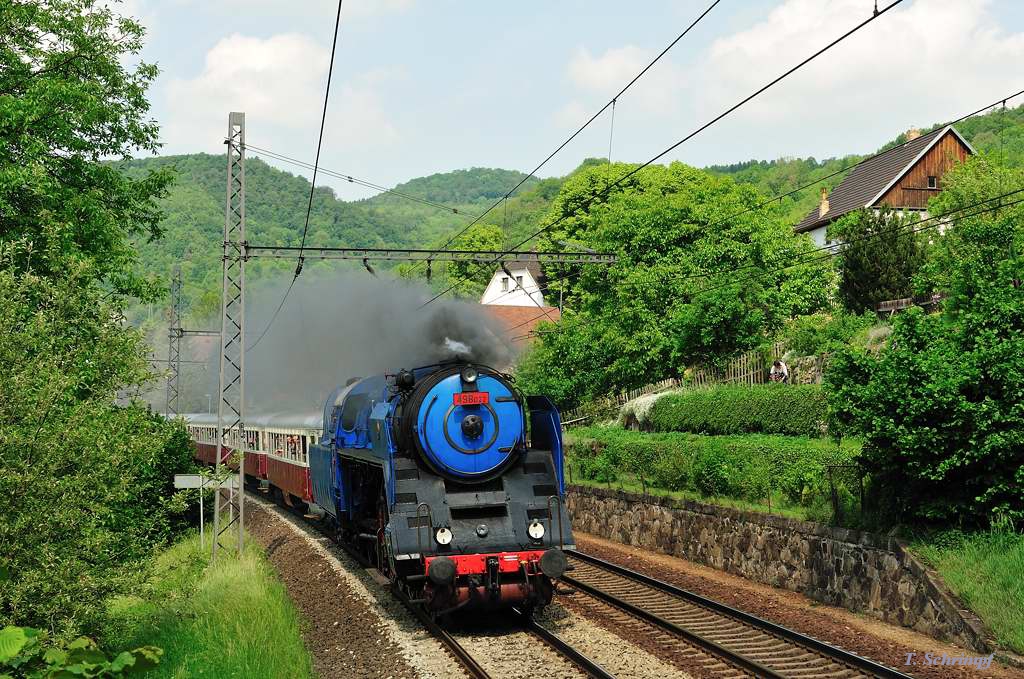 Albatros im Elbtal