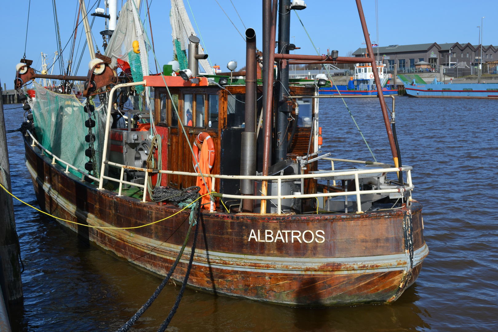 Albatros in Bensersiel