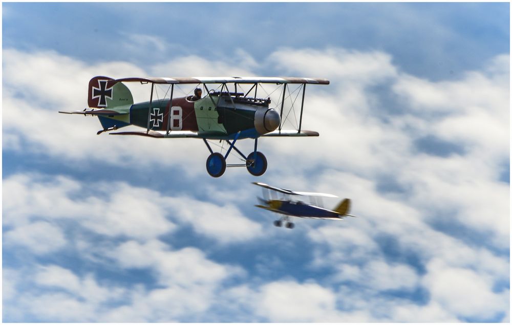 Albatros und Tiger Moth