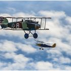 Albatros und Tiger Moth