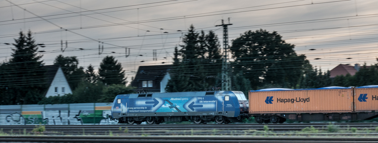 Albatrosexpress bei Celle