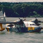 Albatross on the Wannsee