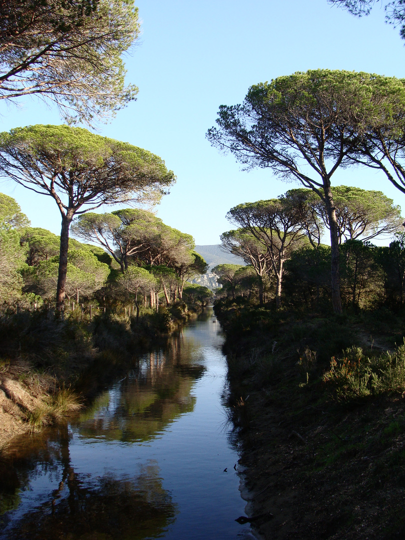 Alberese (Parco della Maremma)