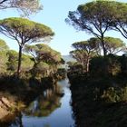 Alberese (Parco della Maremma)