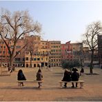 ALBERI A VENEZIA