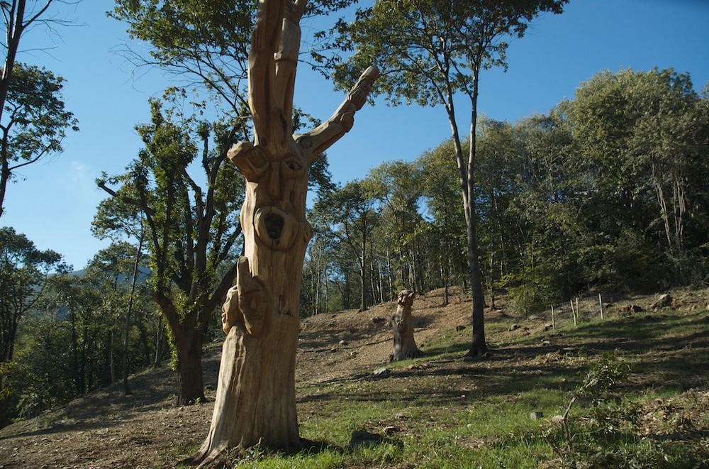 Alberi parlanti