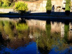 Alberi riflessi