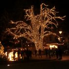 ALBERO ILLUMINATO