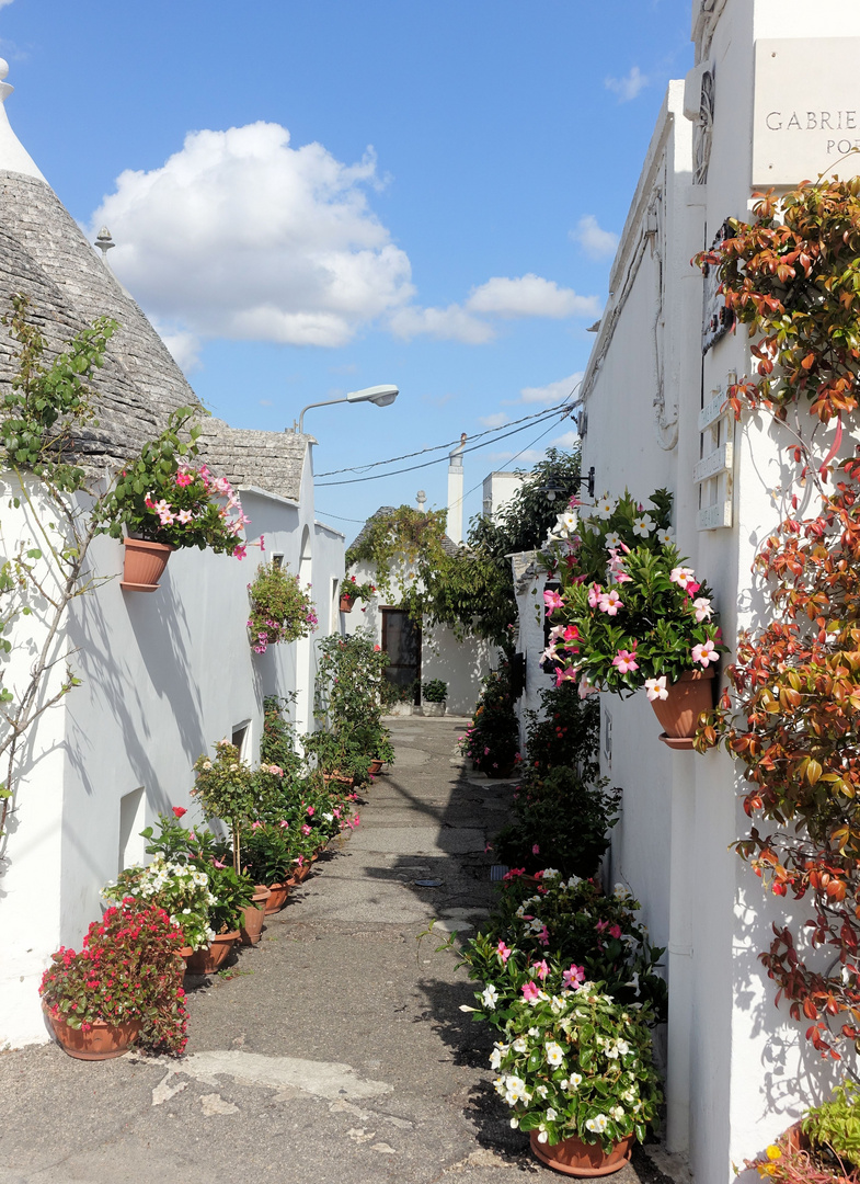 Alberobello  6