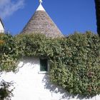 Alberobello