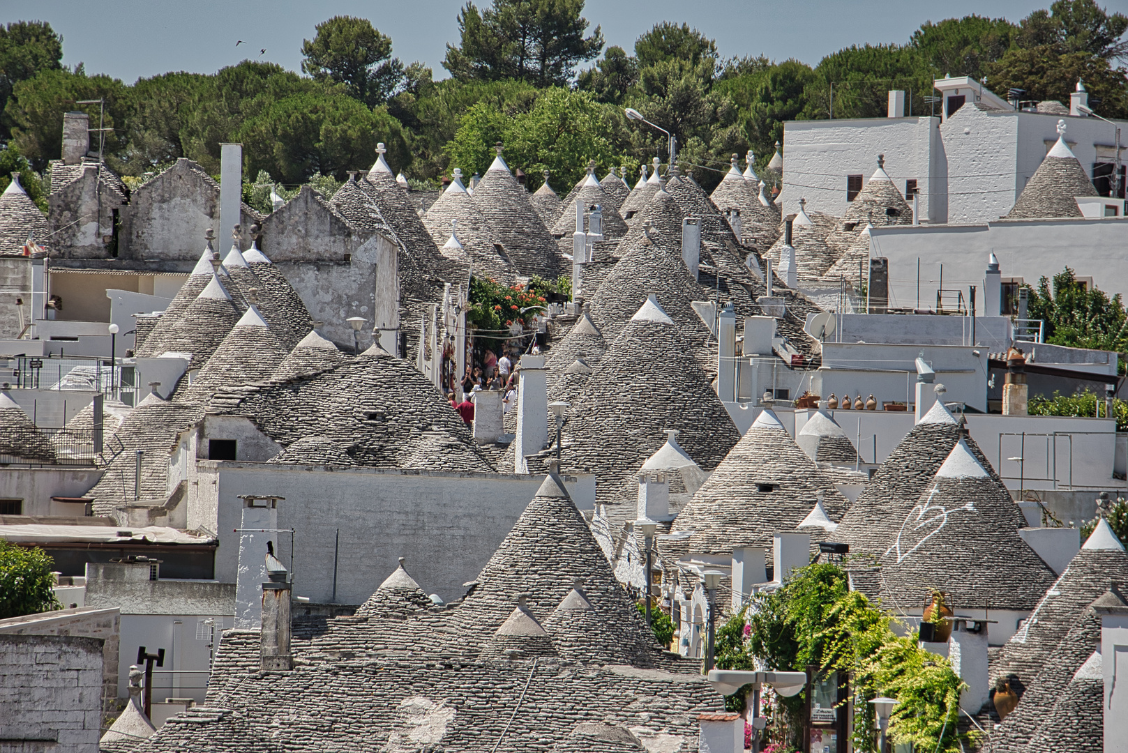 Alberobello 