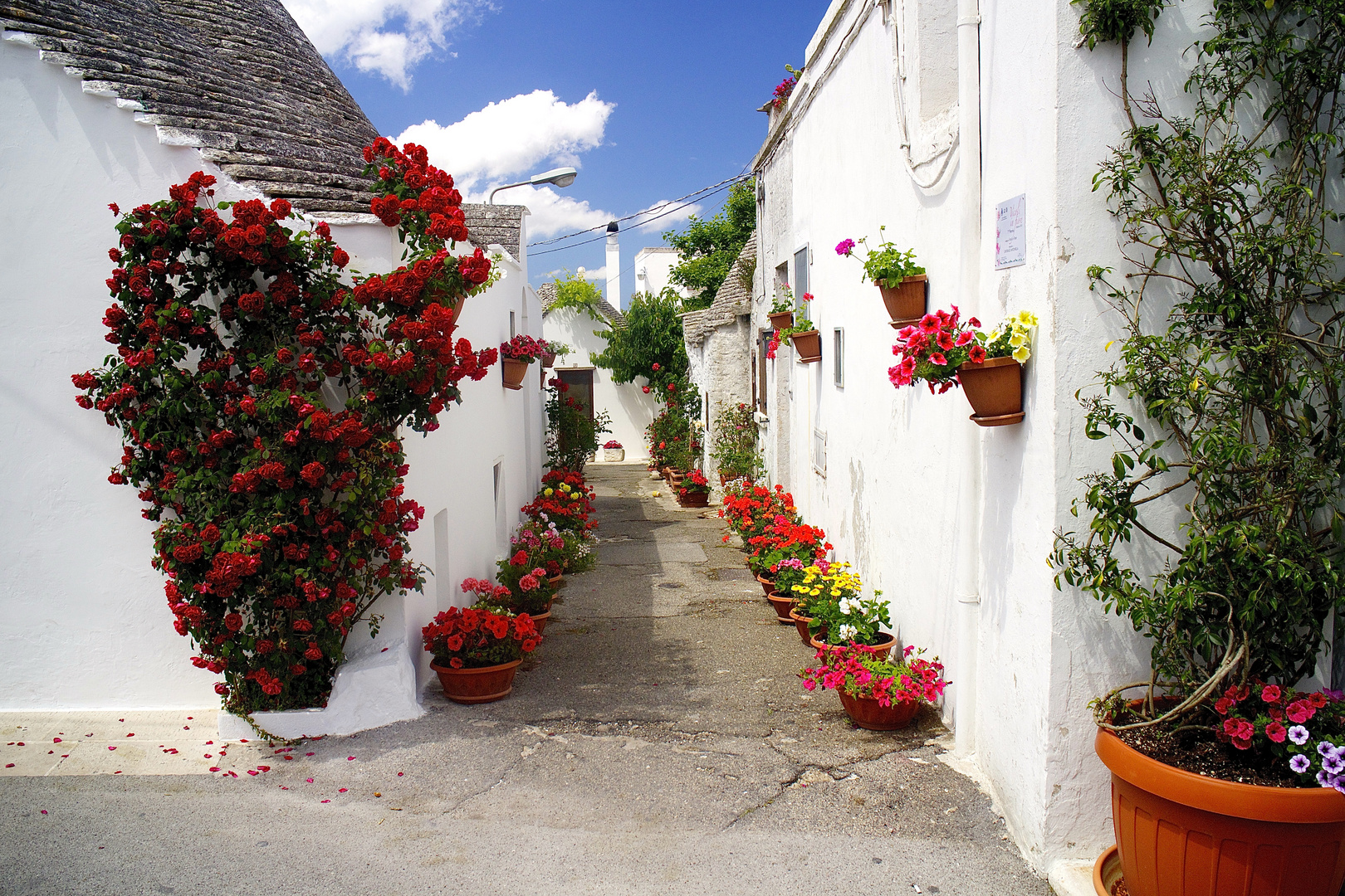 Alberobello