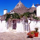 Alberobello(Puglia) - Agosto2006