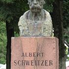 Albert Schweitzer