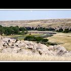 Alberta 043-Writing-on Stone