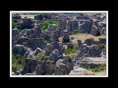 Alberta 046-Writing-on Stone