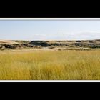 Alberta 051-Writing-on Stone