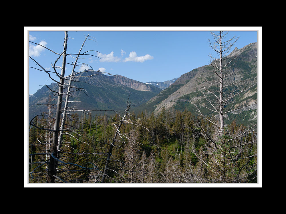 Alberta 078 Waterton