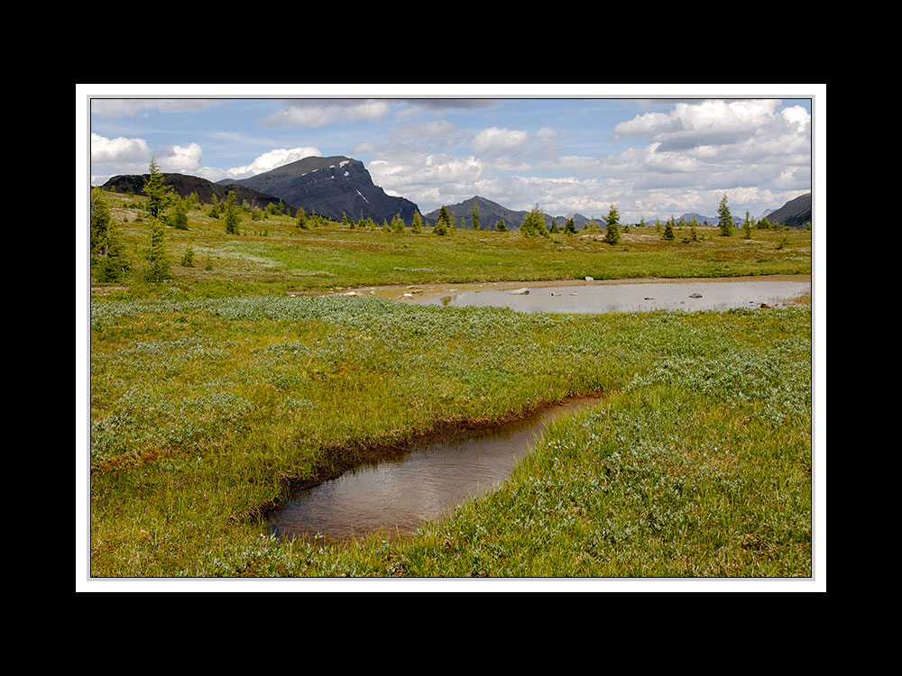 Alberta 200 Canmore